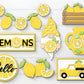 3D PROJECT - Tiered Tray Decor - Lemons